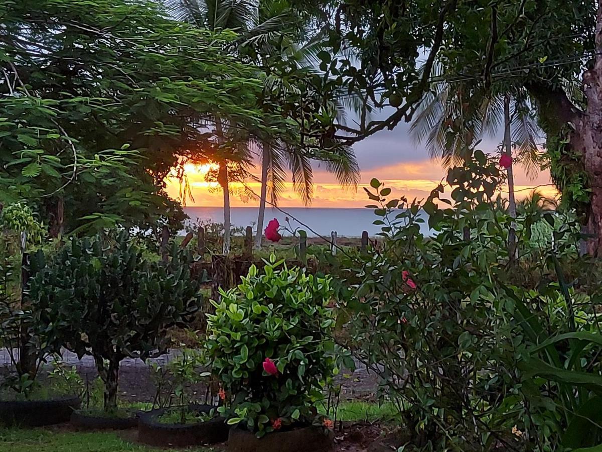 Hotel Gitana Corcovado, Y Tour Operador Drakes Bay 외부 사진