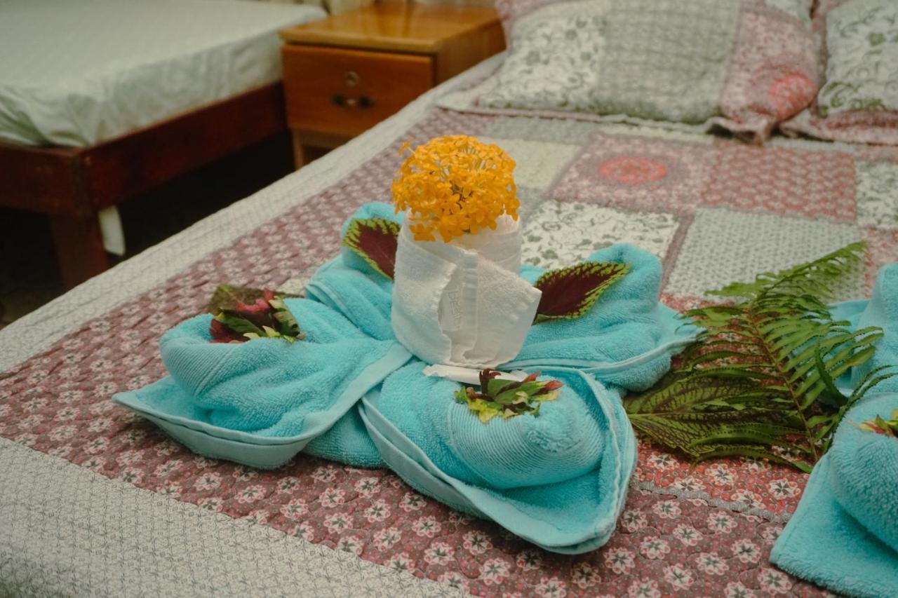 Hotel Gitana Corcovado, Y Tour Operador Drakes Bay 외부 사진