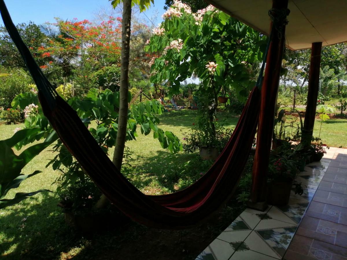 Hotel Gitana Corcovado, Y Tour Operador Drakes Bay 외부 사진